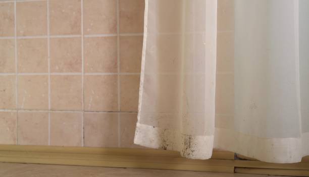 Best Commercial Mold Inspection  in Eastland, TX