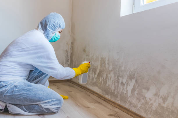 Forensic Mold Investigation in Eastland, TX