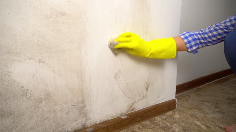 Best Biohazard Mold Removal  in Eastland, TX